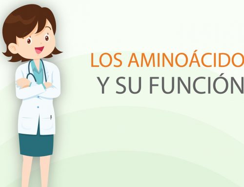 AMINOÁCIDOS Y SU FUNCIÓN.