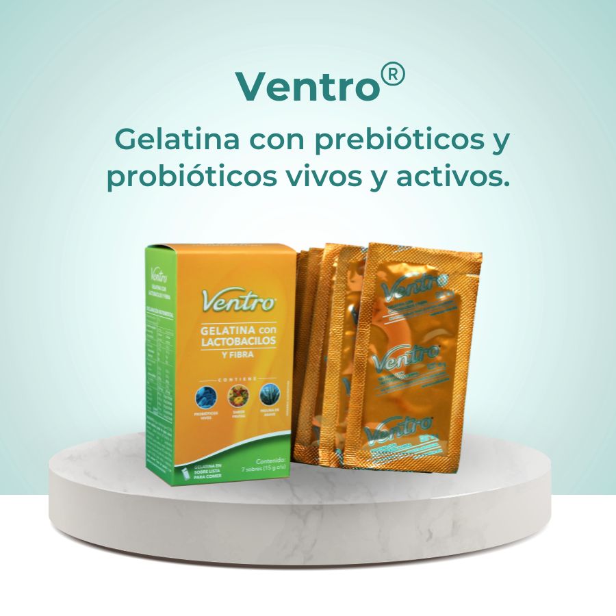 Ventro probioticos vivos